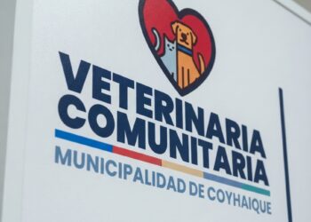 Corte de Coyhaique deja sin efecto desvinculación de veterinario dependiente del municipio
