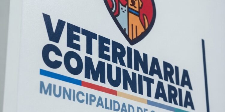 Corte de Coyhaique deja sin efecto desvinculación de veterinario dependiente del municipio