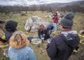 Aprender a convivir con el puma: Aysén y Torres del Paine fijan pautas para el turismo de fauna