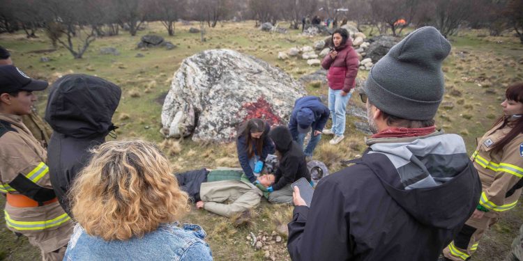 Aprender a convivir con el puma: Aysén y Torres del Paine fijan pautas para el turismo de fauna