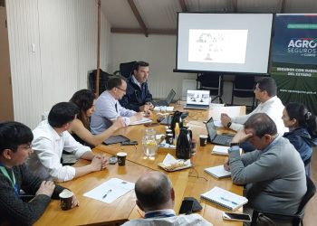 Impulsan seguro para productores agrícolas ante una eventual erupción del volcán Hudson