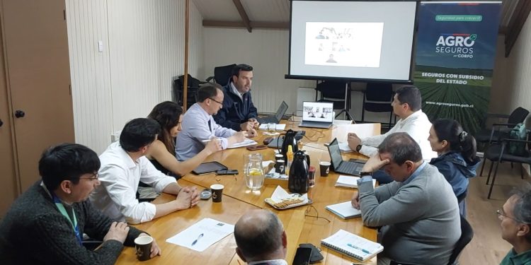 Impulsan seguro para productores agrícolas ante una eventual erupción del volcán Hudson