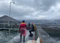 Alerta sanitaria en los fiordos: detectan virus ISA patógeno en un centro de salmones en la comuna de Aysén