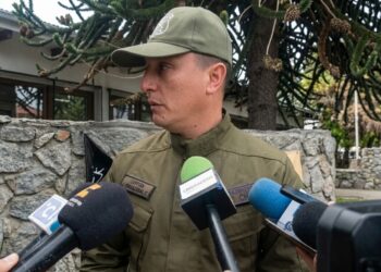 Roban escopeta y revólver desde dos viviendas en Coyhaique: Carabineros investiga los hechos