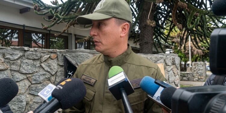 Roban escopeta y revólver desde dos viviendas en Coyhaique: Carabineros investiga los hechos