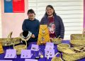 Emprendedoras de Aysén pueden postular hasta el 20 de octubre para participar en feria  indígena de Santiago