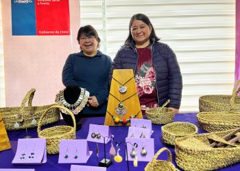 Emprendedoras de Aysén pueden postular hasta el 20 de octubre para participar en feria  indígena de Santiago