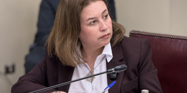 El tijeretazo a la Ley Ricarte Soto desata el rechazo en Aysén: Ximena Órdenes frena el Presupuesto de Salud de 2027