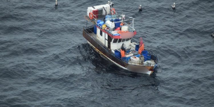 Detectan a siete embarcaciones ilegales extrayendo merluza austral en los fiordos de Aysén