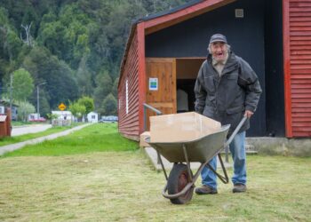 Programa entrega 190 canastas de alimentos y apoyo nutricional a adultos mayores de Lago Verde