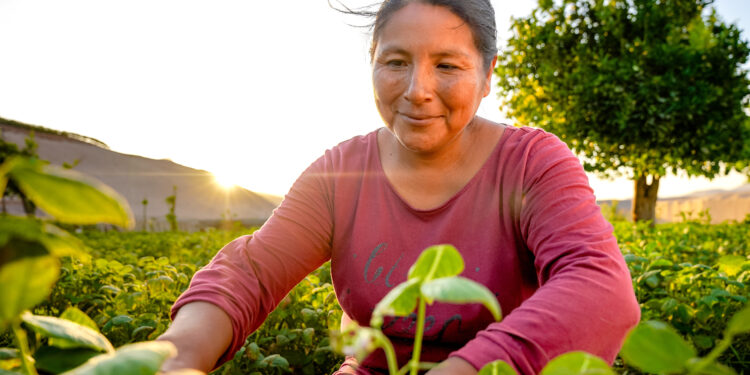 INDAP ofrece créditos de hasta 359 días para financiar actividades de pequeños agricultores de Aysén