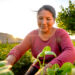 INDAP ofrece créditos de hasta 359 días para financiar actividades de pequeños agricultores de Aysén