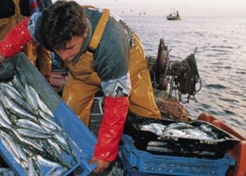 Alivio para los pescadores del litoral de Aysén: el Congreso extiende el subsidio al combustible hasta diciembre