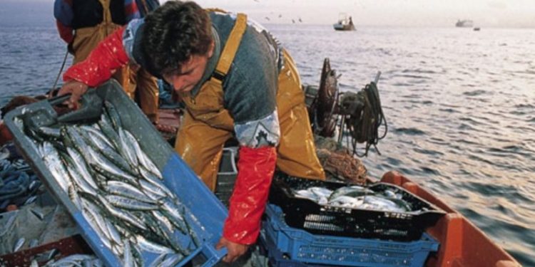 Alivio para los pescadores del litoral de Aysén: el Congreso extiende el subsidio al combustible hasta diciembre