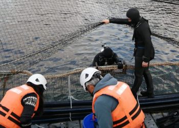 Seminario en Puerto Cisnes aborda seguridad del buceo tras tres muertes en Aysén durante 2026