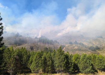 Incendio forestal Río Nef permanece bajo observación en Cochrane: estiman 15 hectáreas afectadas