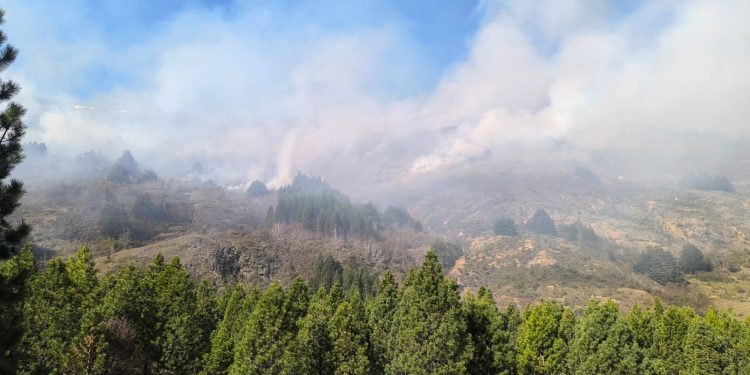 Incendio forestal Río Nef permanece bajo observación en Cochrane: estiman 15 hectáreas afectadas