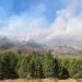 Incendio forestal Río Nef permanece bajo observación en Cochrane: estiman 15 hectáreas afectadas