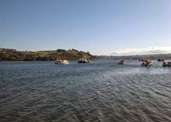 Declaran emergencia preventiva por marea roja en Aysén y otras regiones costeras para reforzar vigilancia sanitaria